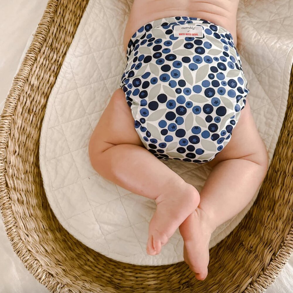 Esembly Cloth Diaper BUNDLE